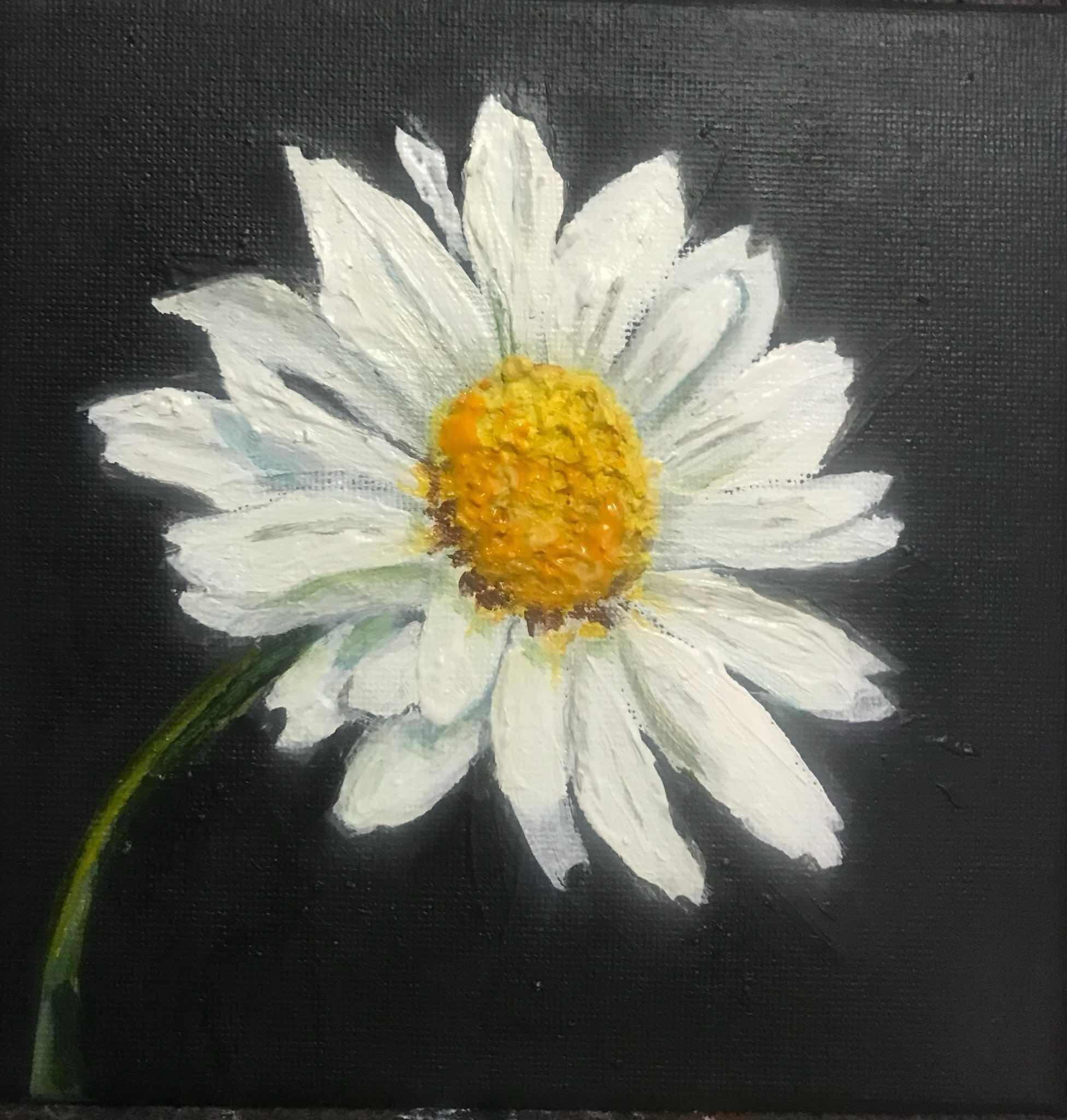 Daisy