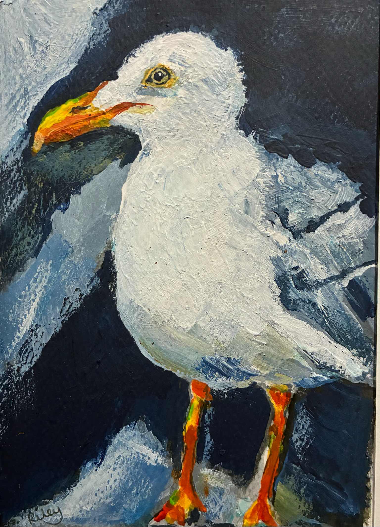 Seagull